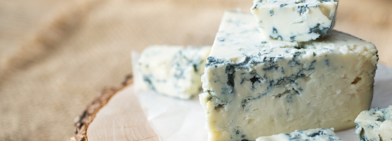 CheeseEducationHeader