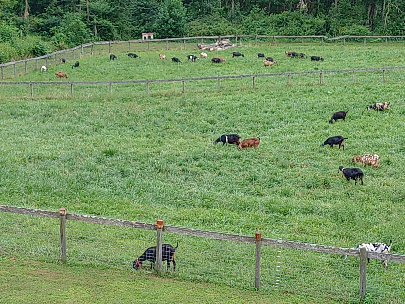 KIMG20250818 145920855