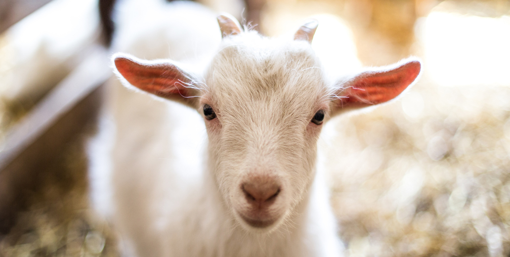 ACSLearningCenter FeatureImage 