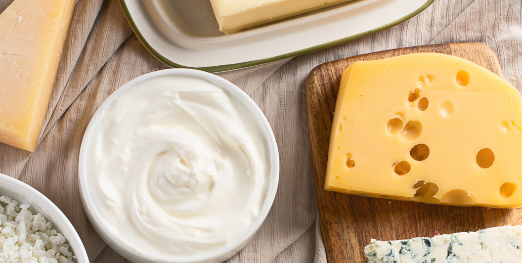 CheeseEducatorDirectory Feature v2