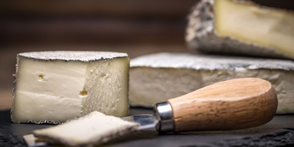 ACSCCSEDirectory Promo