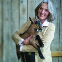 Judy Schad Headshot 1
