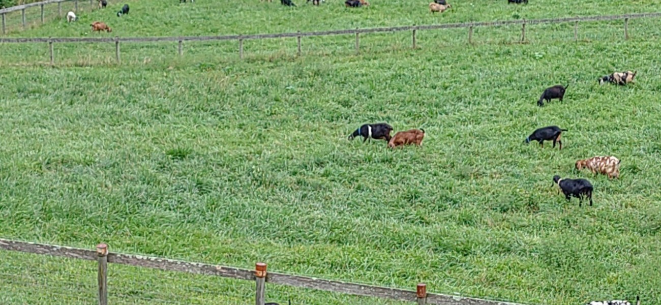 KIMG20250818 145920855 v2