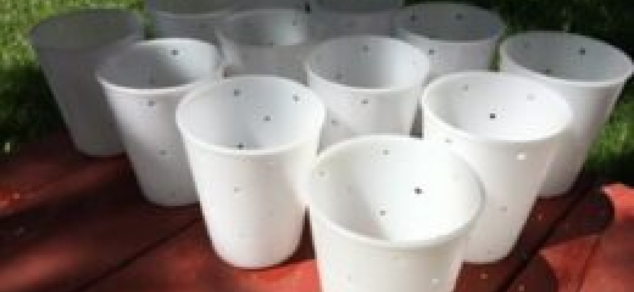 various cheese molds